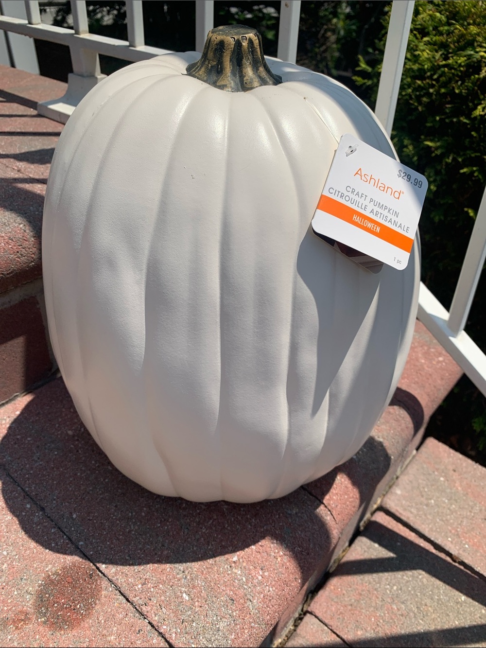 🆕- Ashland 14in White Craft Pumpkin with Gold Stem
